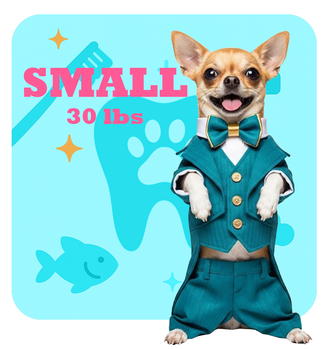 Small Pet