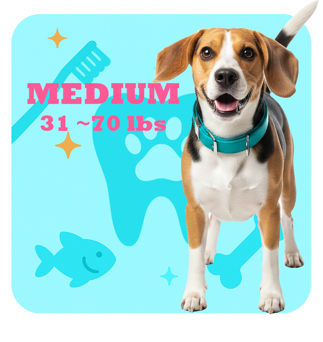 Medium Pet