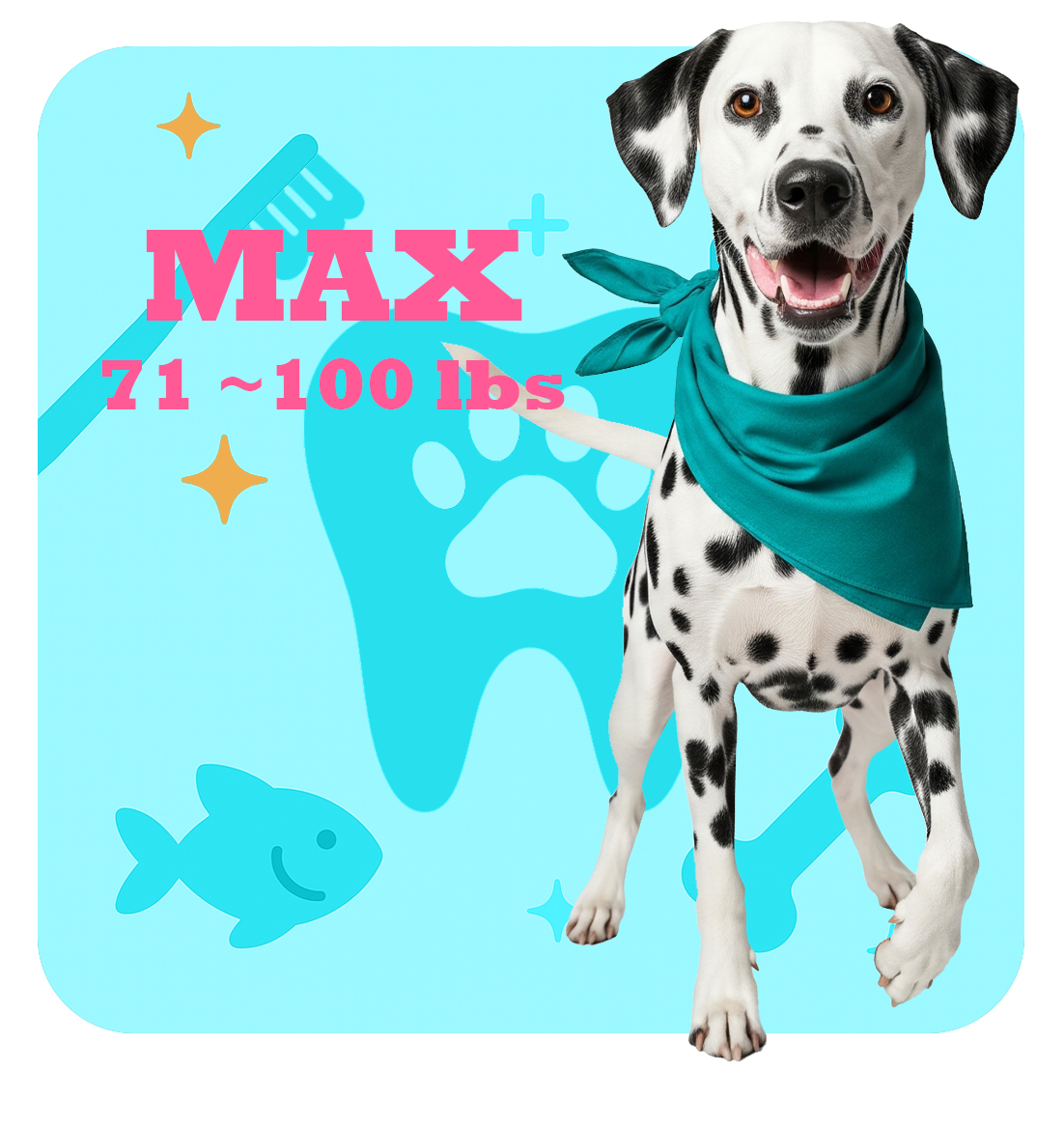 Max Pet