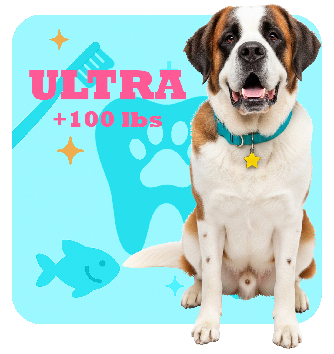 Ultra Pet