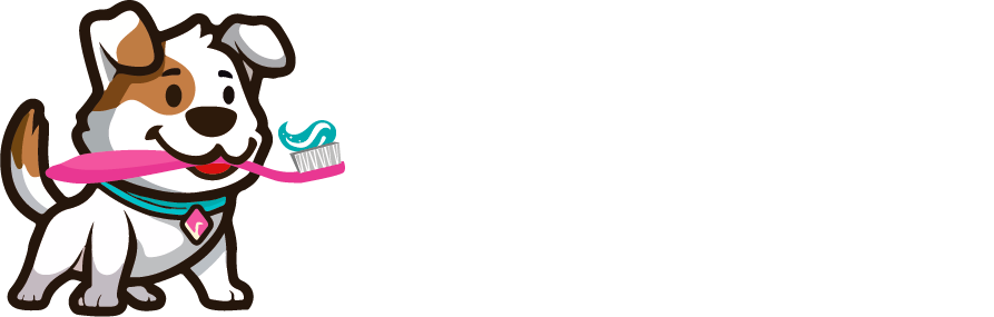 Bright N' Shine Pet Dental