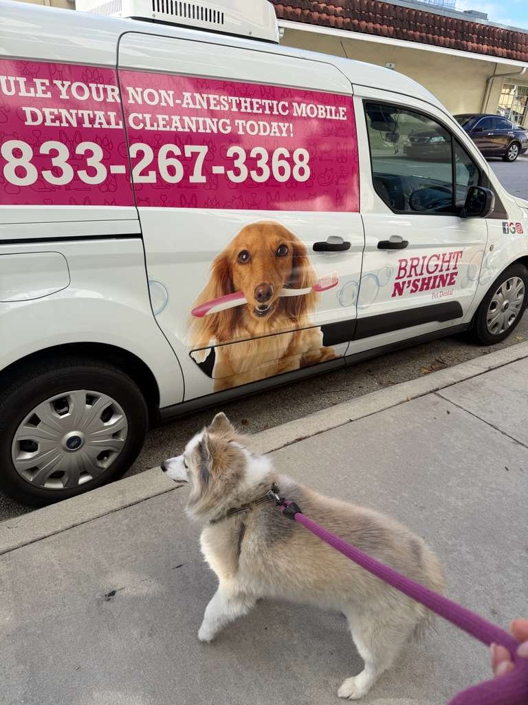 WhatsApp Image 2026-01-21 at 11.38.42