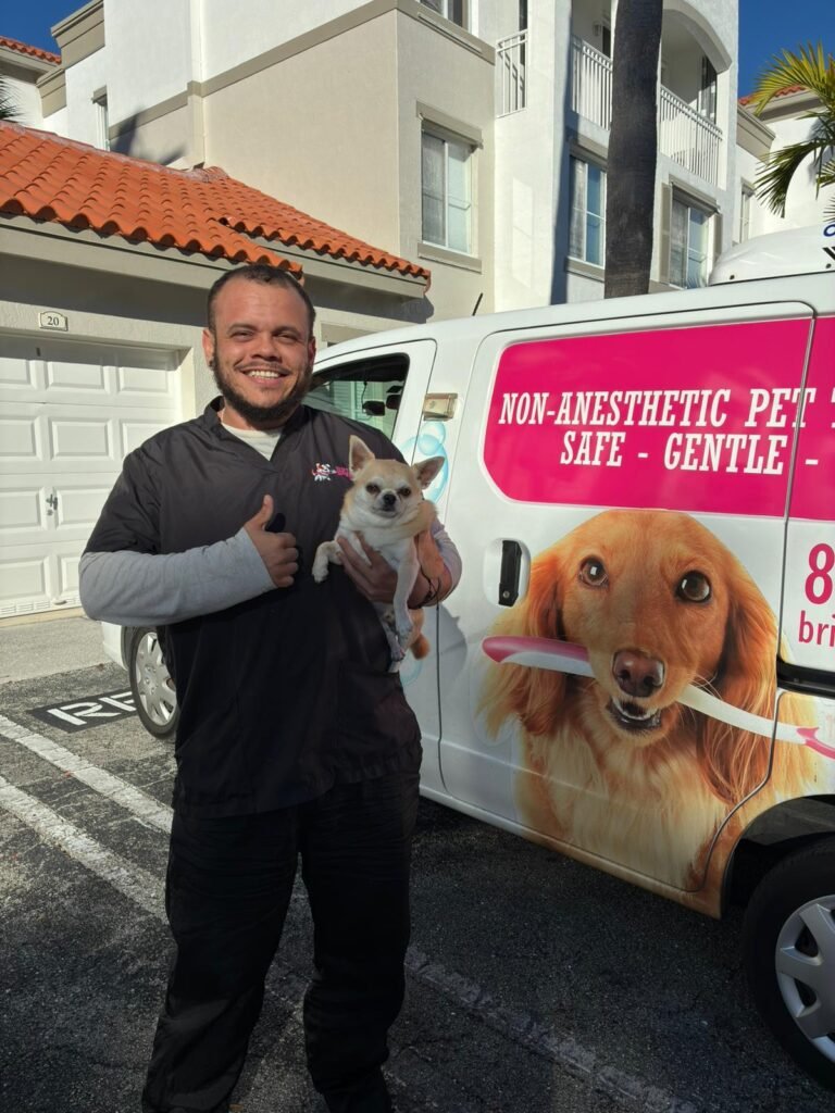 WhatsApp Image 2026-02-02 at 18.08.40