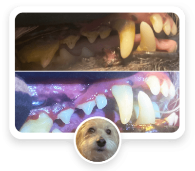 before-and-after-featured-01-400x351