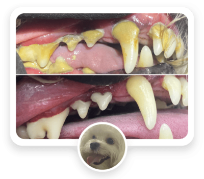 before-and-after-featured-02-400x351