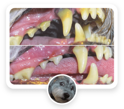 before-and-after-featured-03-400x351