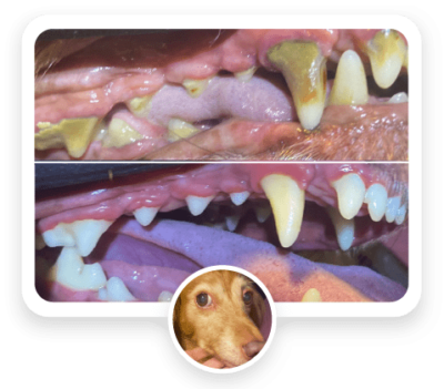 before-and-after-featured-04-400x351