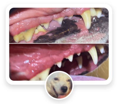 before-and-after-featured-06-400x351
