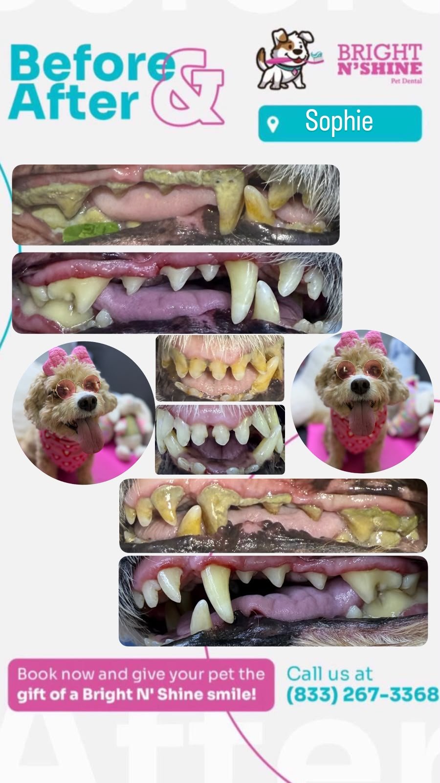 Before and after — Bright N' Shine