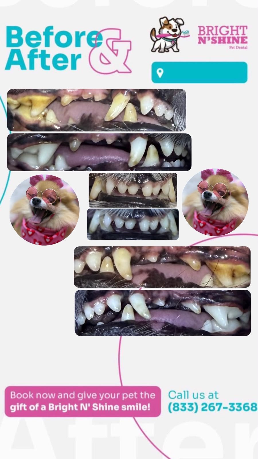 Before and after — Bright N' Shine