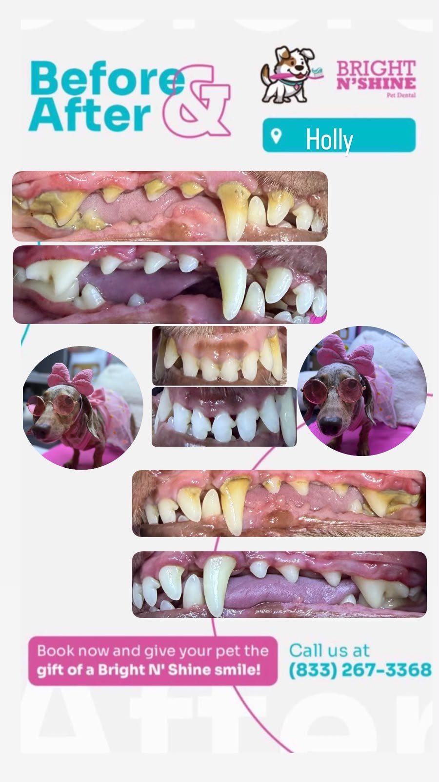 Before and after — Bright N' Shine